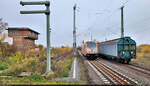 Mit einem Lichtgruß durchfährt 246 001-2 als Tfzf den Bahnhof Northeim(Han) auf Gleis 1 Richtung Kreiensen. Diesen erwidere ich hiermit gerne.
Das Bild entstand am Bahnsteigende.

🧰 Havelländische Eisenbahn AG (HVLE)
🕓 18.11.2022 | 11:06 Uhr