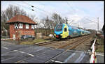 Westfalenbahn ET 602 passiert hier am 12.02.2023 um 13.04 Uhr auf der Fahrt von Braunschweig nach Rheine das westliche Stellwerk in Westerkappeln - Velpe.