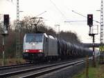 LINEAS 186 510 mit Kesselzug in Richtung NL in Rheine=Bentlage, 12.02.2024