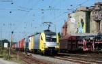 ES 64 U2-074 und 066 (kalt) mit einem Containerzug in Verden (Aller) 19.8.09