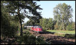 Am 14.09.2019 waren die Eisenbahnfreunde der Museums Eisenbahn Hamm wieder einmal mit ihrer V 200 auf der Rollbahn unterwegs.