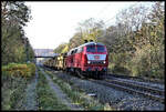 Am 12.11.2021 war die RP 218319-2 mit einem Bauzug auf der Rollbahn unterwegs.