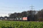 DB Cargo 193 305 mit gemischtem Güterzug Richtung Bremen (Marl, NI, 18.01.19)