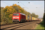  Indian Summer  an der Rollbahn in Lengerich - Schollbruch.