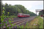 Auf dem Rückweg von der großen Fahrzeugschau in Osnabrück kommt hier am 3.9.2006 eine vierteilige Schienenbus Garnitur in Richtung Münster durch den Bahnhof Natrup Hagen.