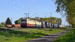 SEL 181 215-5  HOLSTEIN  (91 80 6181 215-5 D-SEL) und 181 211-4  LORRAINE  (91 80 6181 211-4 D-SEL) mit KLV-Zug Wanne-Eickel Wof - Neum�nster Gbf (bei Lembruch, 30.04.2026).
