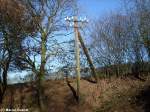 Ein alter Telegrafenmast bei Kilometer 320.Dank einer Leiter und Ersatzteilen besitzt der Mast nun 2 Etagen,die untere wurde nachtrglich angebaut.