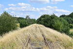 Hinter der Jeetzebrücke ist die Strecke noch recht frei von Bewuchs, lediglich Gras wächst über das Gleis.