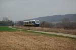 Dieser Talent in Form des VT 705 der NWB fuhr am 08.04.2010 als RB 84 nach Paderborn Hbf durch die Feldmark zwischen Istrup und Herste.