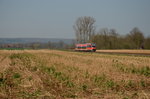 Als RB 63 nach Münster durchfährt dieser 643 die Münsterländische Parklandschaft bei Münster Roxel.