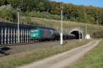 185 542-8 mit DGS 59823 Duisburg Ruhrort Hafen - Grokorbetha, bei der Ausfahrt aus dem Sdportal des Eggetunnels in Willebadessen, 09.10.2010.