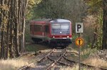 628 704 bei der Einfahrt in Binolen aus Balve kommend, 29.10.2016