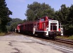 365 736 und 290 081 in Lendringsen im Juli 1992