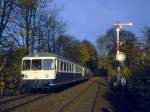 815 807 mit 515 526 bei Mettmann Stadtwald, Nov.