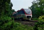 REGIO-Bahn Triebwagen 1011 auf seinem Weg nach Kaarst hier zwischen Mettmann Neandertal und Erkrath Ost am Sonntag den 9.8.2015