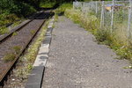 Bahnanlage oder eher Biotop? Der Bahnsteig des Hp Biersdorf Bahnhof an der WEBA-Strecke Betzdorf - Daaden am 18.8.16.