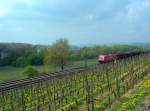 Die KBS 466 fhrt zwischen Erbach (Rheingau) und Hattenheim mitten durch die Weinberge; 24.04.2008