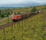 DB 185 319-1 mit einem gemischten Gterzug Richtung Wiesbaden, bei Erbach (Rheingau); 11.05.2009
