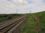 Die KBS 466 im Rheingau zwischen Erbach und Hattenheim; 25.08.2010