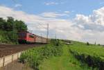 DB 155 013-6 mit einem gemischten Gterzug Richtung Koblenz, am 07.07.2012 bei Hattenheim.