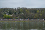   Ein RRX-Elektrotriebzugduo (462 021 & 462 044) war Mitte April 2021 bei Remagen zu sehen.