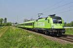 Ziemlich grün: 182 509-0 von Flixtrain am 28.04.2022 in Bornheim