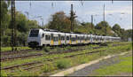 Eine Dreier Einheit mit vorne 460514-3 von Trans Regio verl��t hier am 18.09.2026 um 12.54 Uhr den Bahnhof Bonn - Mehlem in Richtung Bonn HBF.