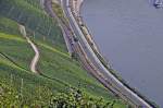 22.08.2013 Rheinschleife bei Boppard ; Blick vom Gedeonseck auf die Strecke, die gerade ein 460er von transregio in Richtung Boppard passiert