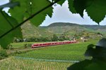 Weinberge und Weinreben wohin man schaut. Sie haben jedoch gute Fotostellen und tolle Motive geboten. Hier fährt gerade die RB30 Richtung  Ahrbrück.

Mayschoss 03.09.2016