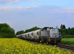 Die 4185 013-7 ist seit kurzem bei Rheincargo unterwegs.Hier zieht sie Kesselwagen zum Kraftwerk Frimmersdorf an Laach vorbei.

Laach 08.05.2017

