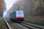 E 186 210 ( Cobra 2818 ) aus Belgien am 24.11.11 bei bach - Palenberg im Frhnebel unterwegs nach Aachen