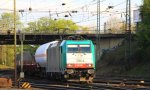 Die Cobra 2804 kommt aus Richtung K�ln,Aachen-Hbf mit einem langen gemischten G�terzug aus K�ln-Gremberg nach Antwerpen-Noord(B) und f�hrt in Aachen-West ein bei sch�nem F�hr Sommerwetter am Abend des 25.4.2013.