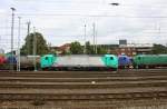 Die Cobra 2808 fährt mit einem langen gemischten Güterzug aus Antwerpen-Noord(B) nach Köln-Gremberg bei der Ausfahrt aus Aachen-West und fährt in Richtung Aachen-Schanz,Aachen-Hbf,Köln. 
Aufgenommen vom Bahnsteig in Aachen-West bei Sonne und Wolken am 16.8.2014.