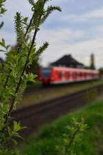 Windspiel mit Quitschie....ich habe den Autofocus eingestellt, mehrfach Messfeld gewählt und dann den Wind entscheiden lassen in dem Augenblick des Abdrückens was die Kamera