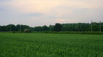 Ein Blick auf die KBS 485 zwischen Kohlscheid und Richterich.
Aufgenommen von der Banker-Feld-Straße in Richterich.
Bei Sommerwetter mit Gewitterwolken am Nachmittag vom 5.6.2016.