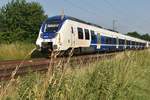 Bei diesem Bild habe ich mal den Bewuchs am Bahndamm in den Vordergrund gestellt, als der RE 7 aus Neuss nach Krefeld durchfuhr am Mittwochabend den 26.6.2019.