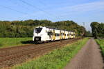 Deutschland
Triebzug 463 033 von DB, Fahrzeug Überführung, in Bösinghoven
19/9/2025