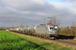 Deutschland
Lok 7193 003 von Rail Force One zieht einem Kesselzug, in Kaarst Broicherseite
11/12/2025