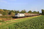 Deutschland  Lok 187 079 von Rheincargo zieht einem G�terzug in Kaarst Broicherseite  8/9/2026