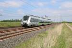 1442 126 (Bombardier Talent 2) der S-Bahn Mitteldeutschland als verspätete S 37338 (S3) von Borna (Leipzig) nach Halle-Trotha fährt bei Benndorf auf der Bahnstrecke Magdeburg–Leipzig