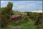 442 305 der DB Regio rollt am 28.10.2023 als RE42 nach Nürnberg durch das Saaletal bei Dornburg.