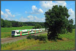 Gleich 4 Regioshuttle der Erfurter Bahn passieren am 16.07.2021 eine alte Eiche bei km 51,6 zwischen Oberndorf und Hermsdorf-Klosterlausnitz.