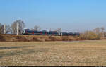 Hamster-Doppel mit 9442 615 und 9442 116 (Bombardier Talent 2) quert die Saale-Elster-Aue bei Schkopau.