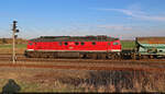 Breitseite von 232 690-8 (132 690-9), die mit Schüttgutwagen durch Großkorbetha in nördlicher Richtung durchfährt.

🧰 Erfurter Bahnservice GmbH (EBS)
🕓 28.3.2025 | 17:11 Uhr