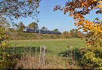 Inmitten des Herbstlaubs strebt ein 9442 (Bombardier Talent 2) gen Halle (Saale).