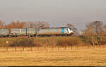 Mit Kesselwagen rollte 186 257-2 durch die Saale-Elster-Aue bei Kollenbey (Schkopau) Richtung Merseburg Hbf.