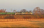 Portrait der 159 213-8 (Stadler Eurodual), die mit offenen Güterwagen voller Sand die Saale-Elster-Aue bei Kollenbey (Schkopau) Richtung Merseburg Hbf durchquert.