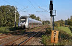 9442 804 (Bombardier Talent 2) fährt durch die Saale-Elster-Aue und wird in wenigen Sekunden Schkopau über die Saalebrücke erreichen.