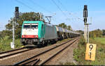 Silozug mit 186 244-0 (91 51 5270 004-2 PL-ATLU) wurde unmittelbar vor der Saalebrücke bei Schkopau Richtung Merseburg Hbf fotografiert.