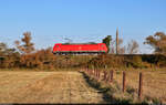 185 255-7 rollt solo durch die Saale-Elster-Aue bei Schkopau Richtung Merseburg Hbf.

🧰 DB Cargo
🕓 25.10.2024 | 16:04 Uhr